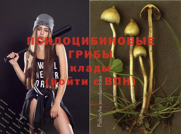 ПСИЛОЦИБИНОВЫЕ ГРИБЫ Нея