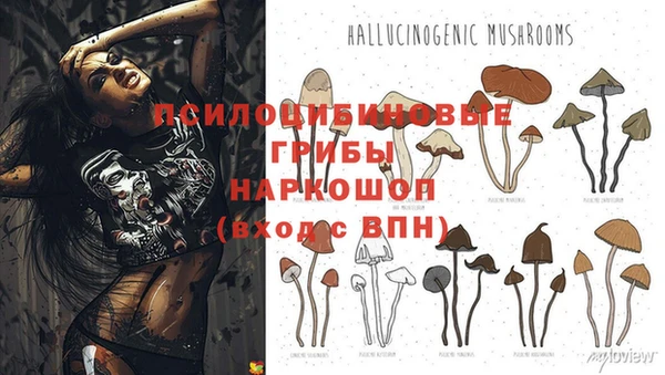 мяу мяу кристалл Алексин