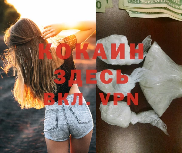 прущие крисы Новодвинск